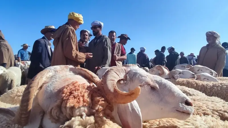 موعد عيد الأضحى 2025 في المغرب وأشهر المظاهر الاحتفالية 1 موعد عيد الأضحى 2025 في المغرب