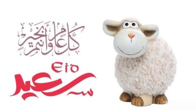 موعد عيد الأضحى 2025 في جيبوتي وأشهر المظاهر الاحتفالية