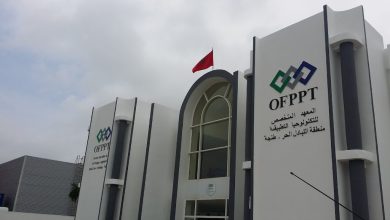 التكوين المهني