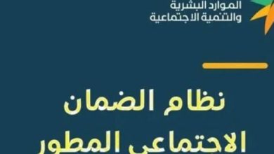 الضمان الاجتماعي المطور يونيو 2025