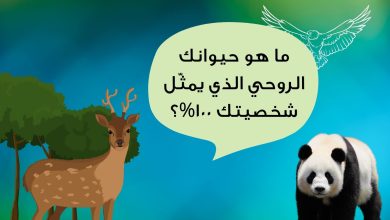 حيواني الروحي