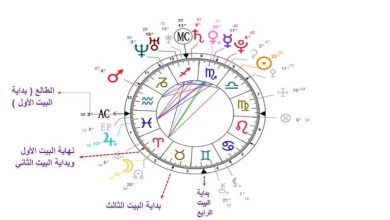 خريطة الحب الفلكية